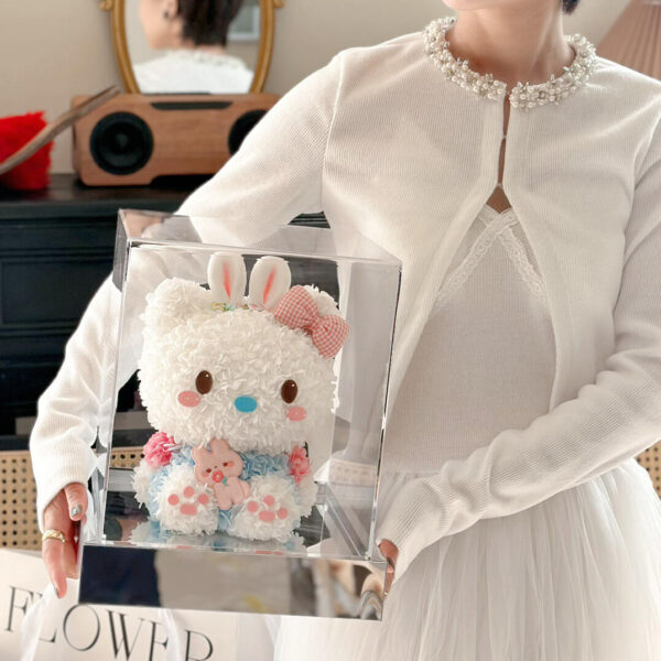 兔耳朵 HK 猫