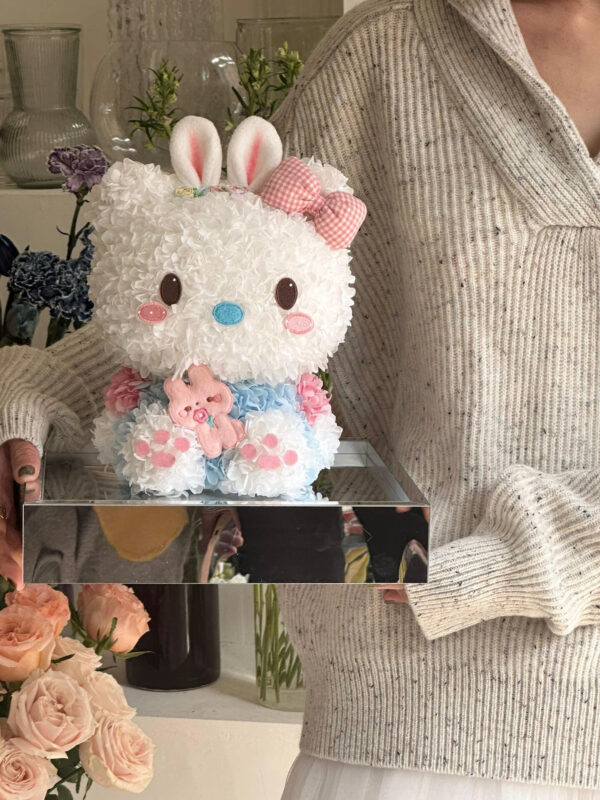 兔耳朵 HK 猫