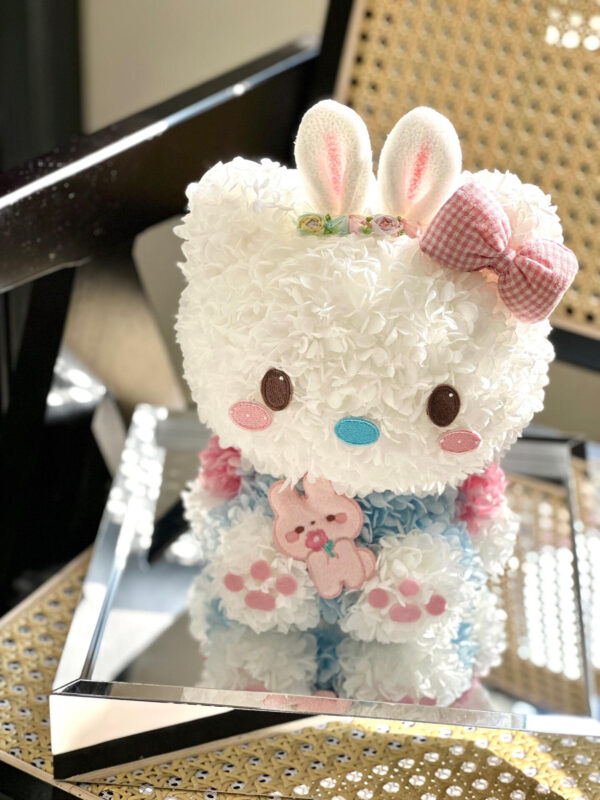 兔耳朵 HK 猫