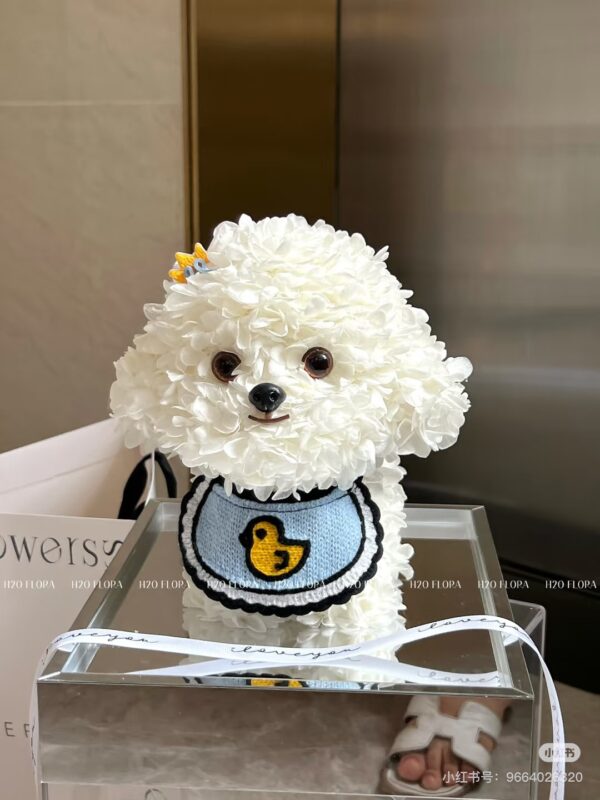 小黄鸭 比熊