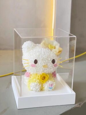 黄色 HK 猫