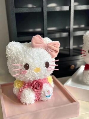 粉色 HK 猫
