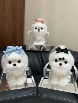 马尔济斯 永生花礼盒 三色可选