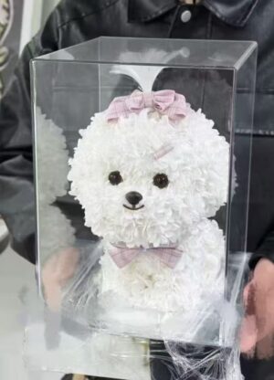 粉蝴蝶结 马尔济斯礼盒